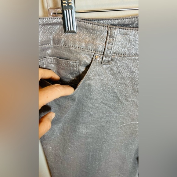Chico's‎ Platinum Metallic Silver Flat Front Pants Size 0.5 or US Size 6 - Picture 2 of 9